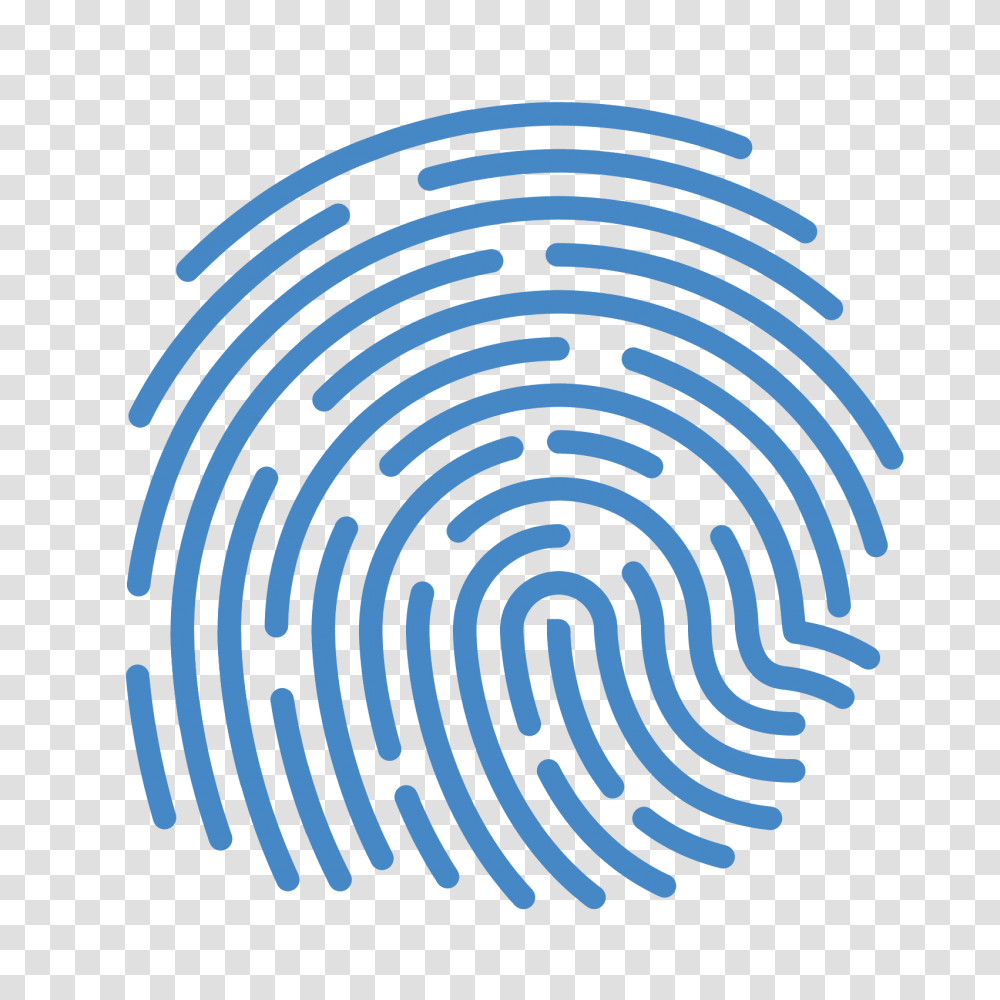 Fingerprint, Person, Spiral, Coil Transparent Png