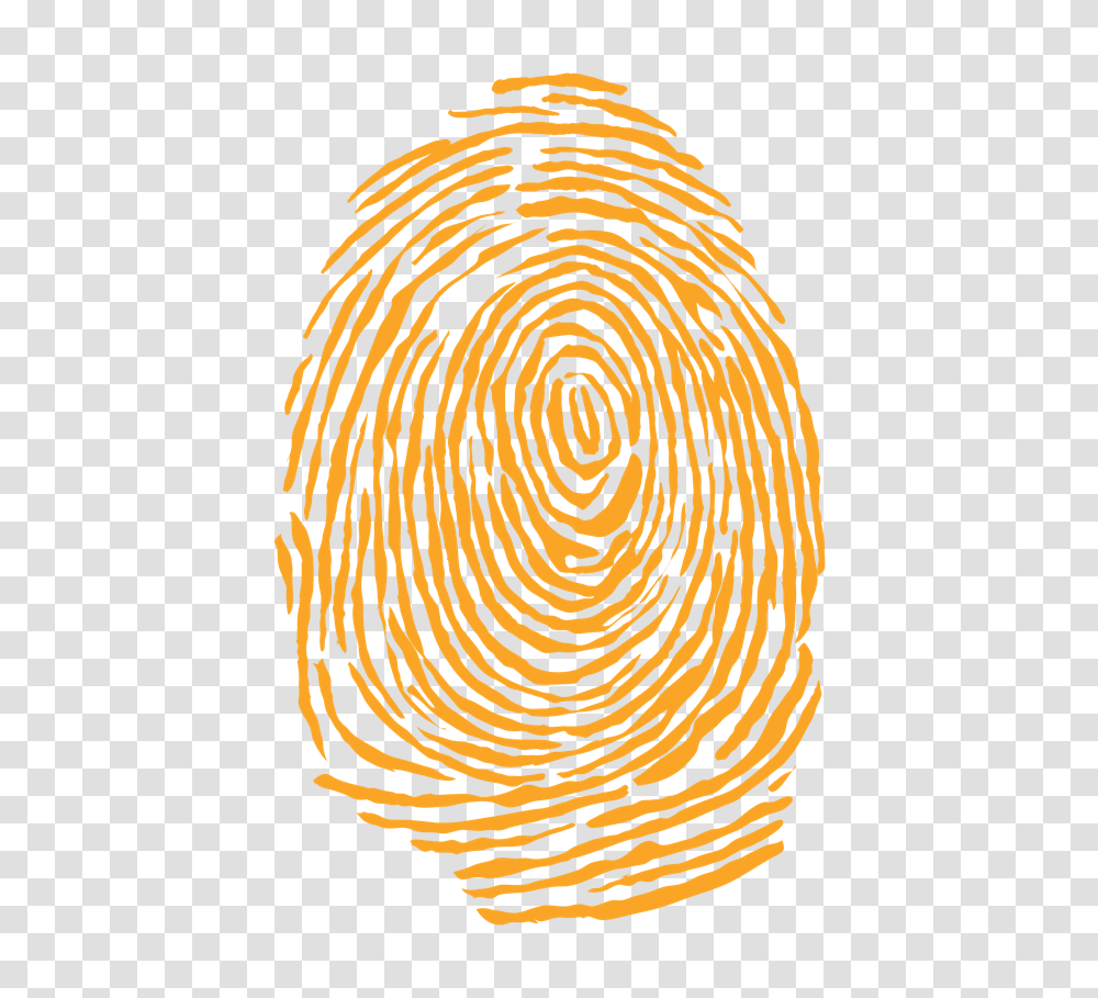 Fingerprint, Person, Spiral, Coil, Tiger Transparent Png