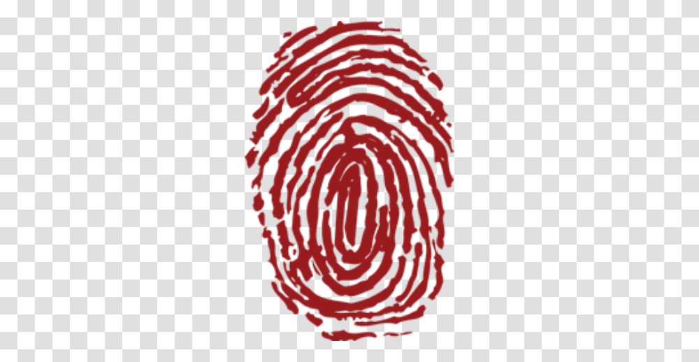 Fingerprint, Person, Spiral, Pattern, Coil Transparent Png