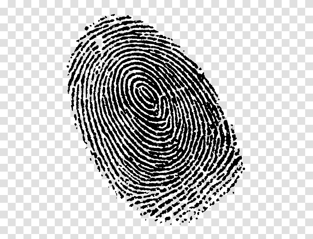 Fingerprint, Person, Spiral, Rug, Coil Transparent Png