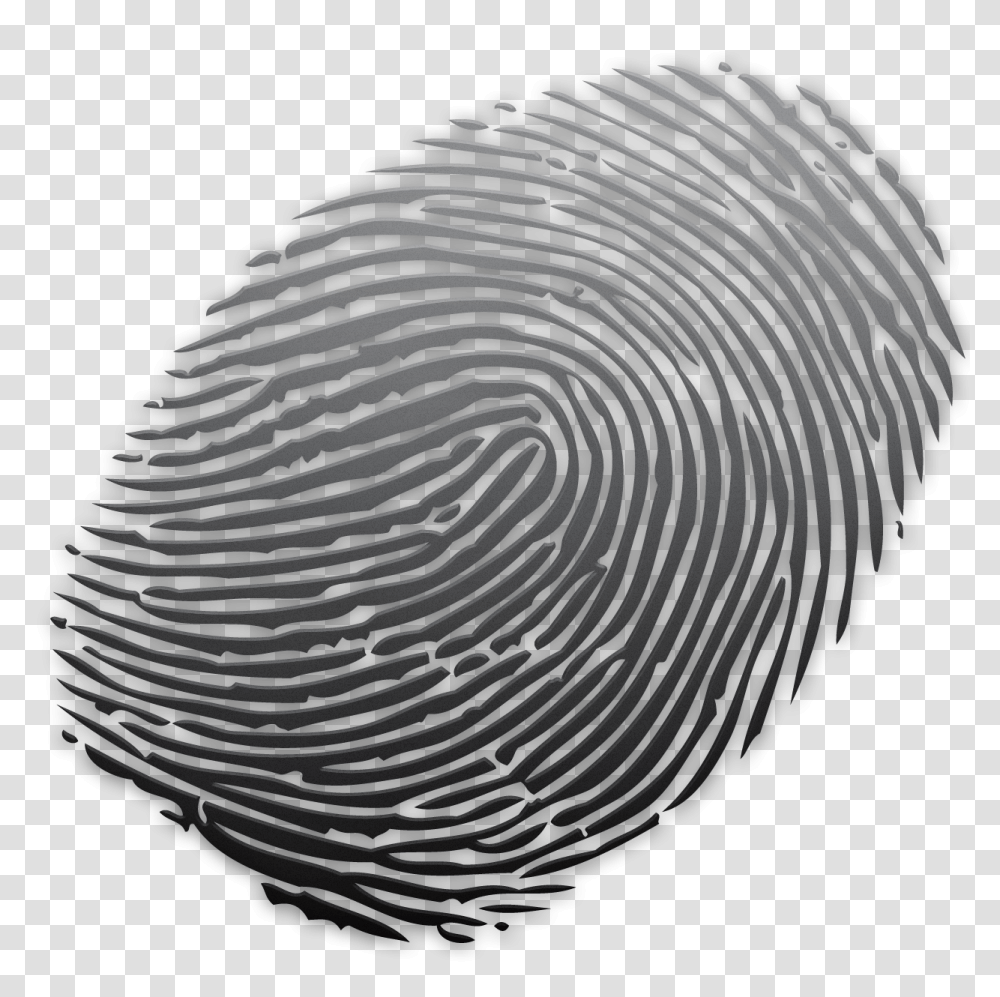 Fingerprint, Person, Spiral, Rug, Coil Transparent Png