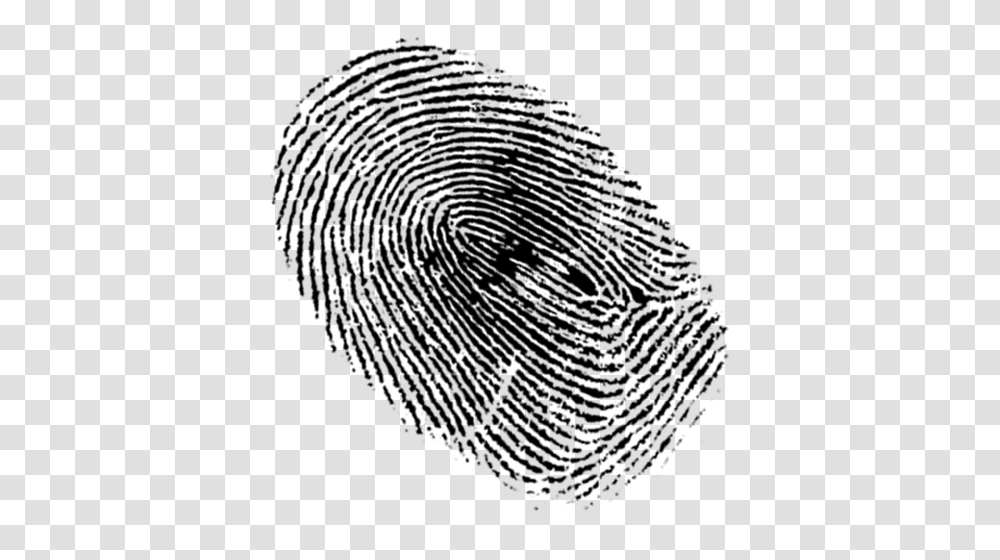 Fingerprint, Person, Logo Transparent Png