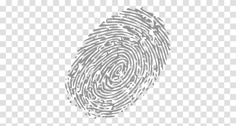 Fingerprint, Person, Face Transparent Png