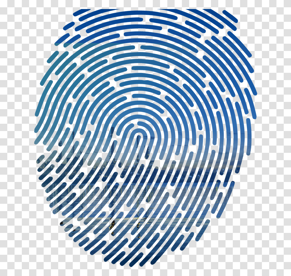 Fingerprint Vector, Spiral, Coil, Pattern Transparent Png