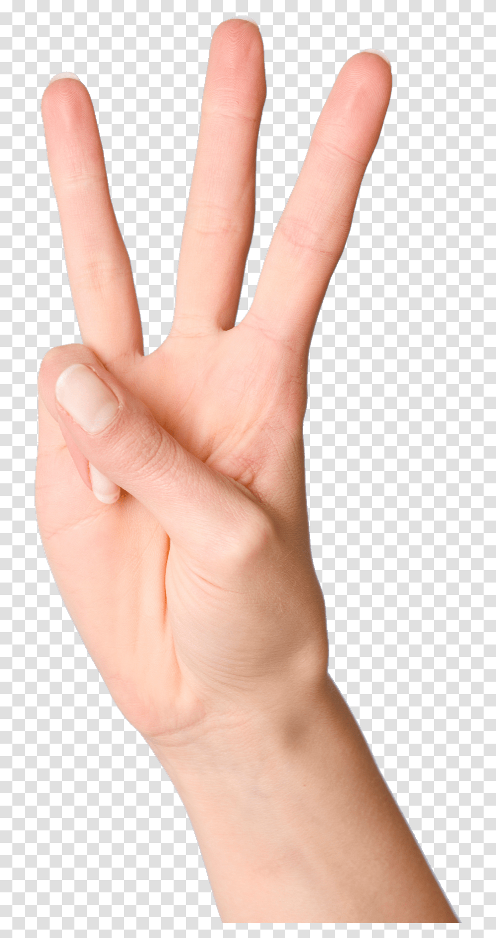 Fingers F Number 3 Finger, Person, Human, Hand, Wrist Transparent Png
