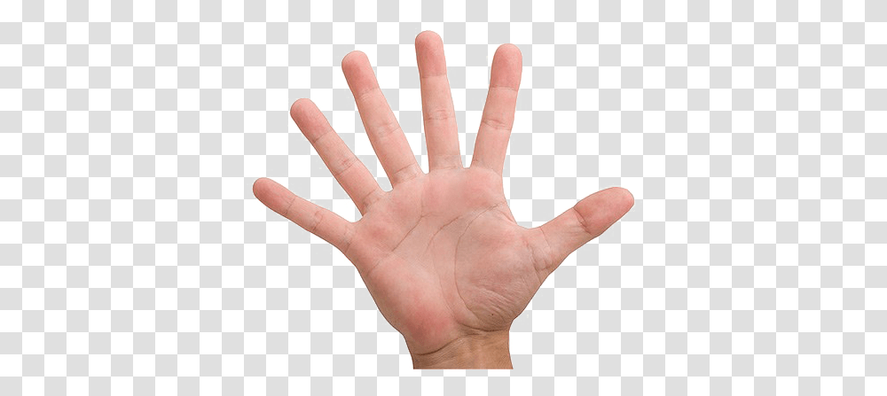 Fingers Image File, Hand, Person, Human, Wrist Transparent Png