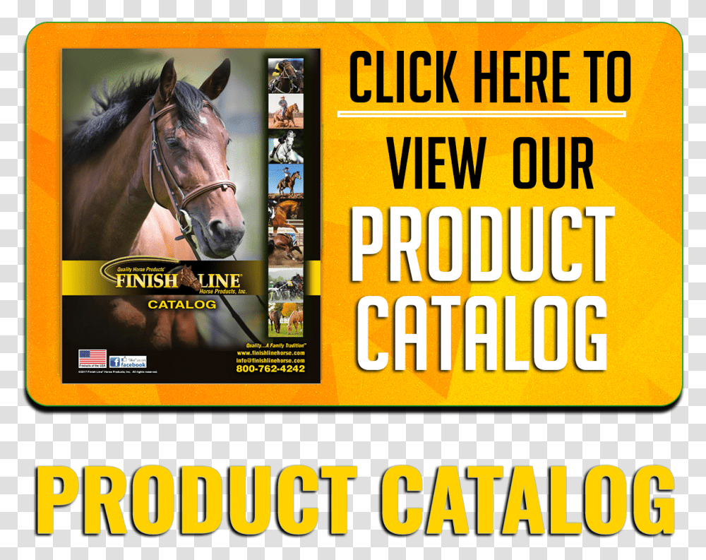 Finish Line Horse Products Dealer Catalog Galmegi Brewing Haeundae, Mammal, Animal, Advertisement, Poster Transparent Png