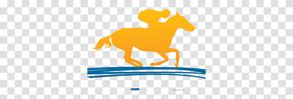 Finish Served Projects Stencil Of Horses Racing, Animal, Mammal, Silhouette, Car Transparent Png