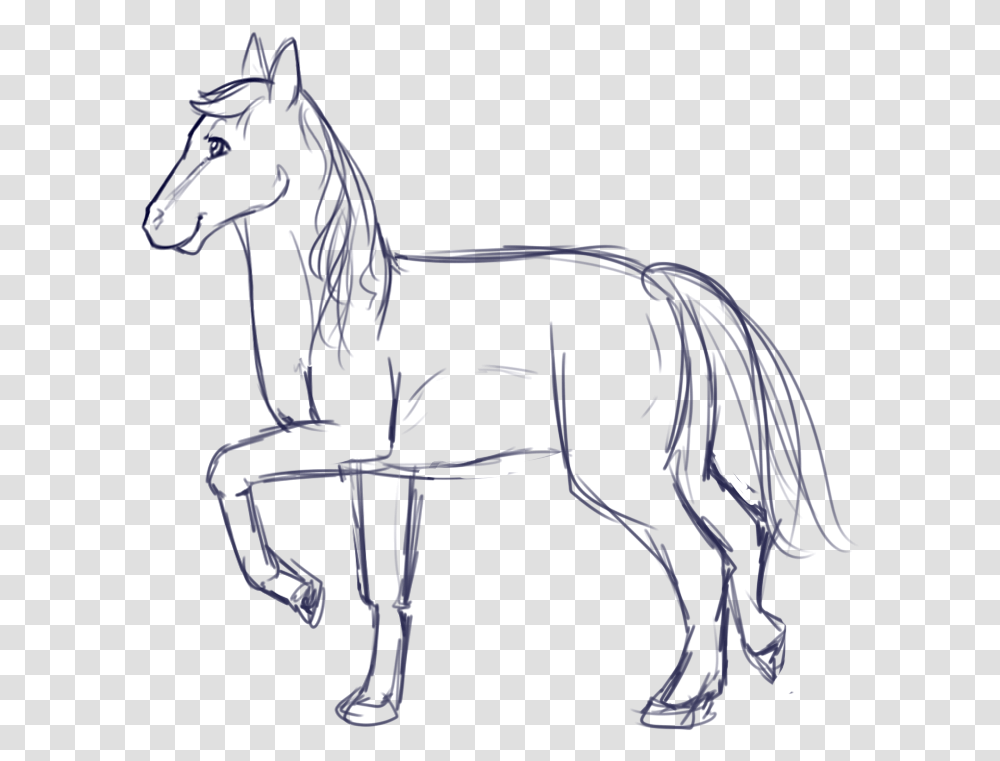 Finished Refs For Feathered Arrow Line Art, Horse, Mammal, Animal, Colt Horse Transparent Png