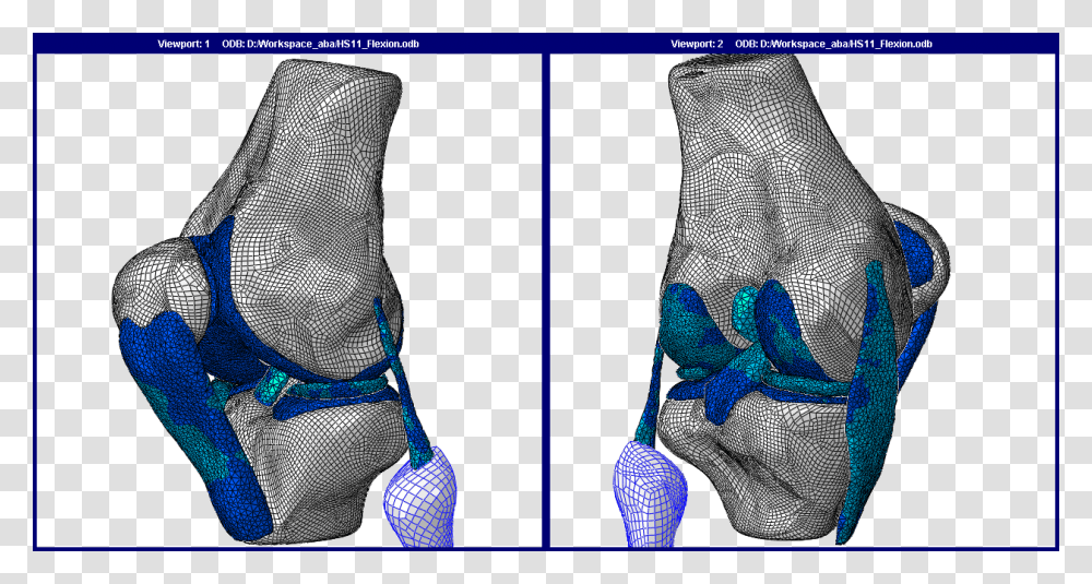 Finite Element Model Knee, Footwear, Bag, Shoe Transparent Png