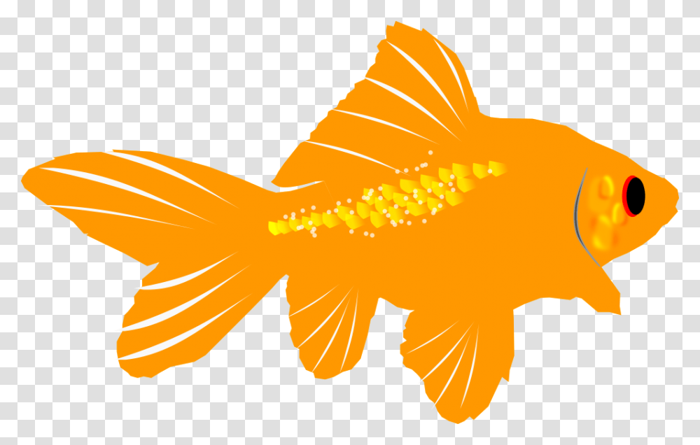 Fins Clipart Sea Life Goldfish, Animal Transparent Png
