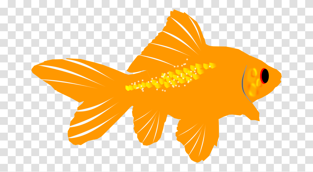 Fins Clipart Sea Life, Goldfish, Animal Transparent Png