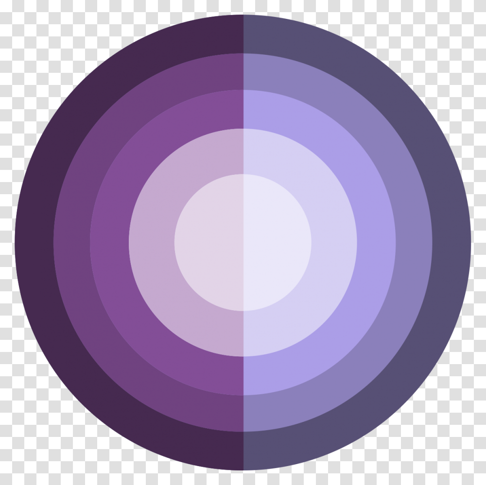 Finsight Ventures Circle, Sphere, Rug, Purple, Frisbee Transparent Png