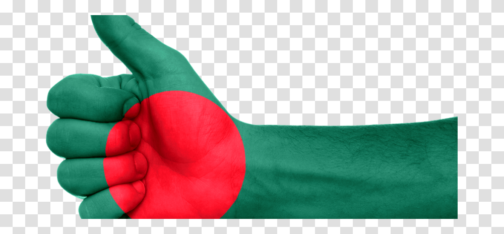 Fintech In Bangladesh Bangladesh Flag, Person, Animal, Cushion Transparent Png