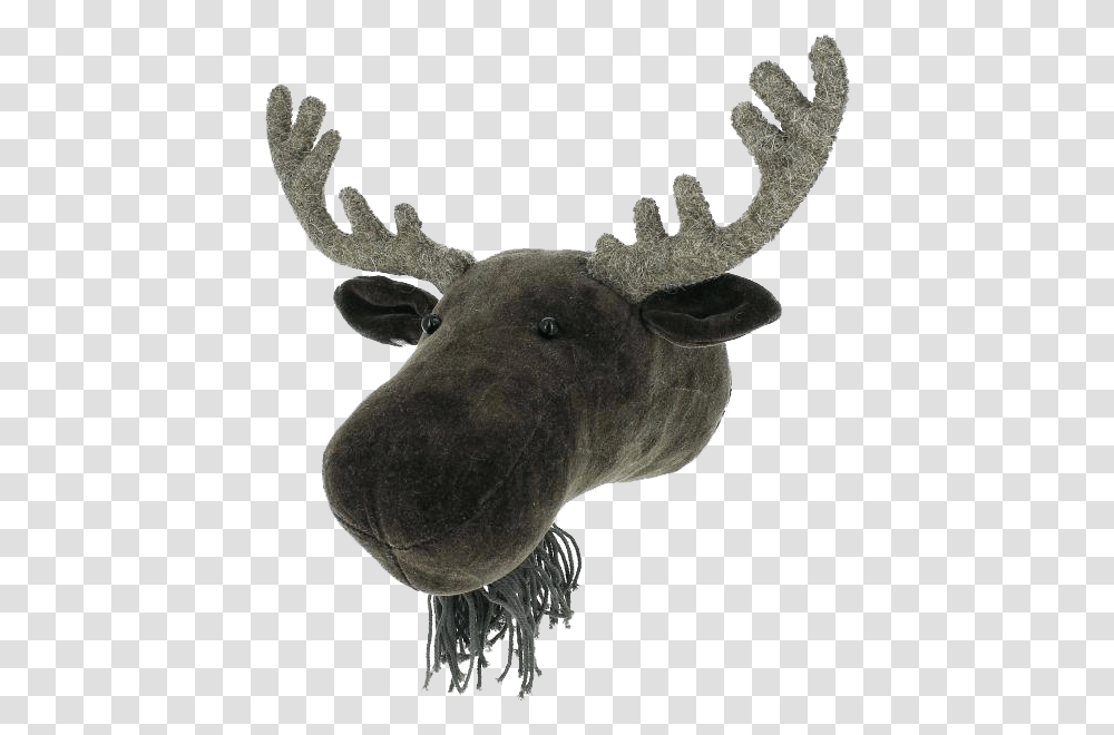 Fiona Walker England Moose Velvet Mini Animal Head, Wildlife, Mammal, Deer, Antler Transparent Png