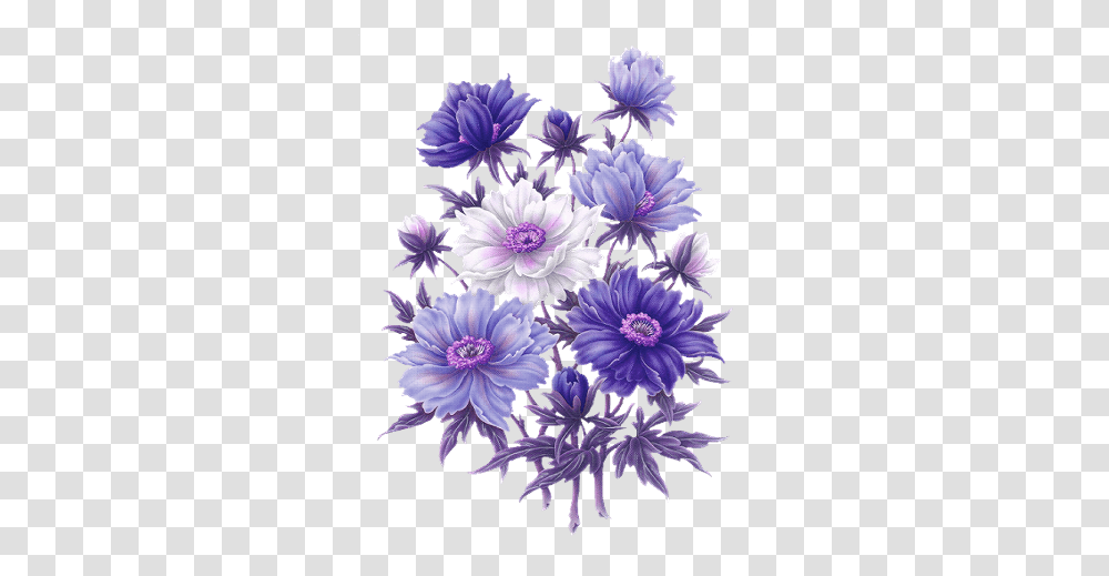 Fiori Viola 2 Image Fiori Viola, Dahlia, Flower, Plant, Purple Transparent Png