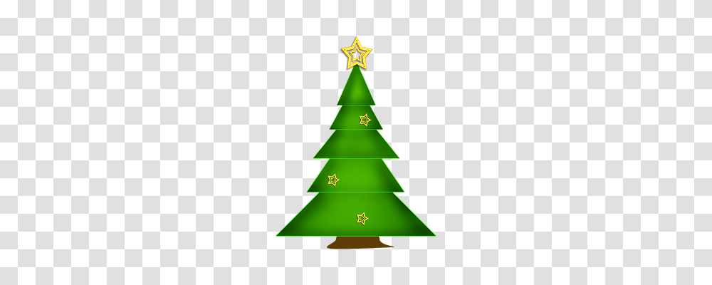 Fir Nature, Tree, Plant, Ornament Transparent Png