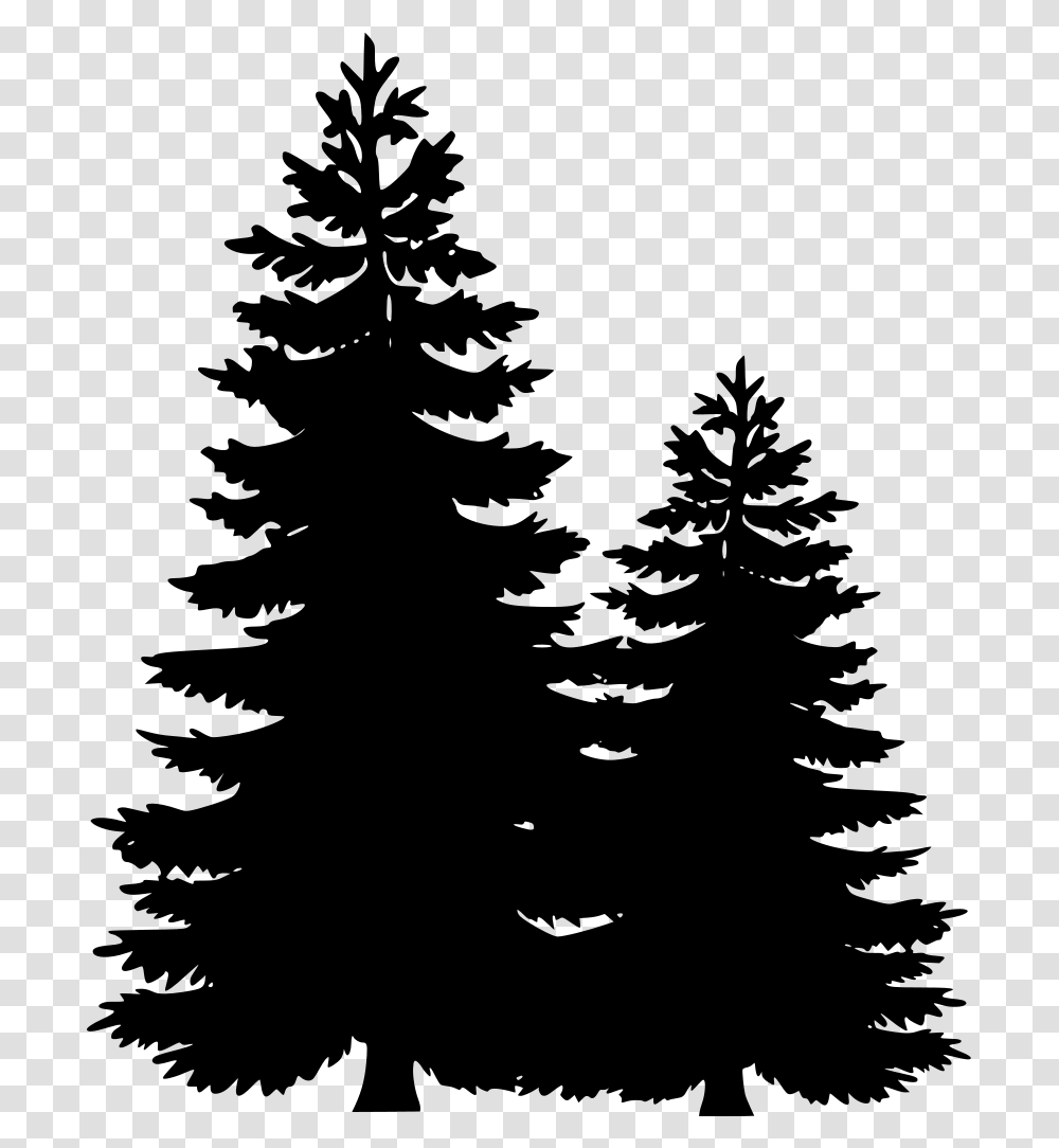 Fir Branch Pine Tree Clipart, Gray, World Of Warcraft Transparent Png