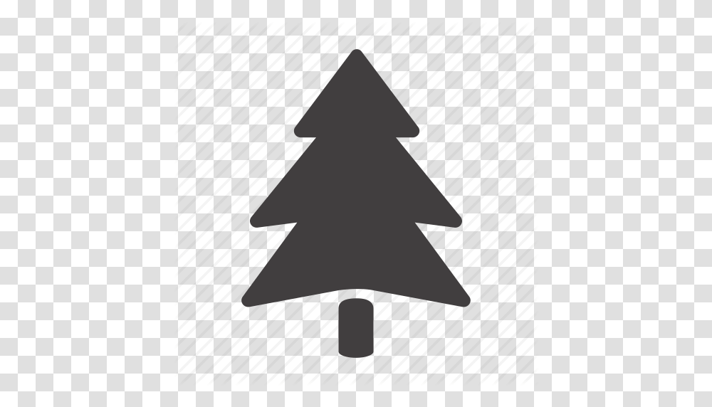 Fir Fir Tree Forest Pine Plant Tree Icon, Star Symbol, Lighting, Silhouette Transparent Png
