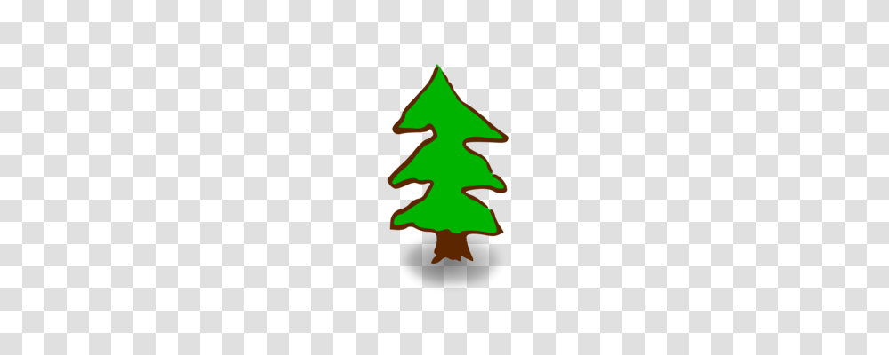 Fir Pine Tree Spruce Geometry, Plant, Christmas Tree, Ornament, Star Symbol Transparent Png