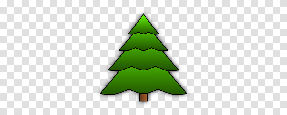 Fir Tree Nature, Plant, Ornament, Lamp Transparent Png