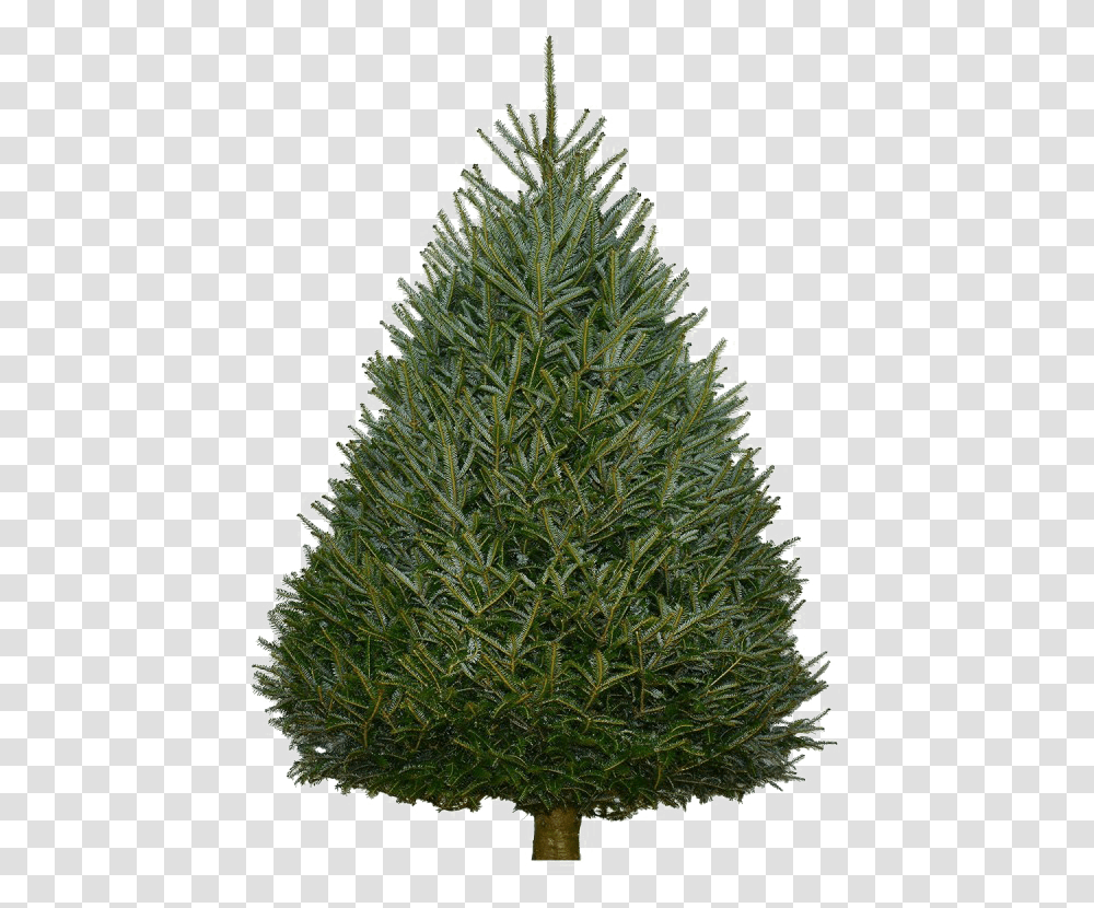 Fir Tree Background Artificial Unlit Christmas Tree Sale, Ornament, Plant, Pine Transparent Png