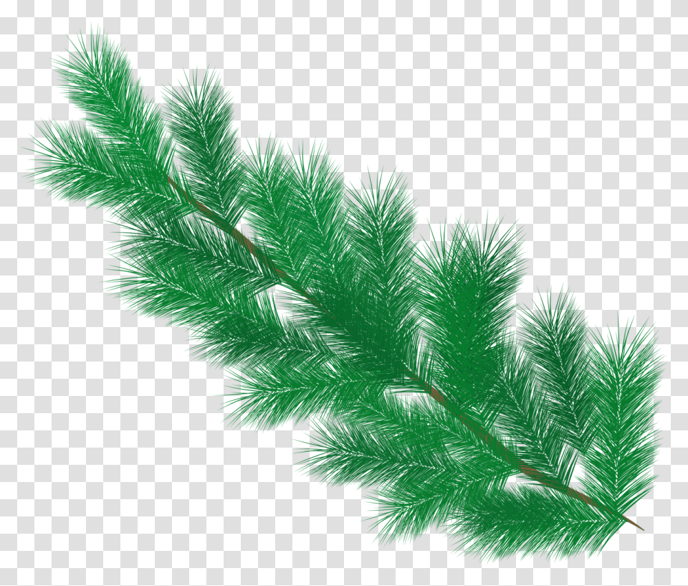 Fir Tree Branch Pine Needles Pine Leaves, Leaf, Plant, Clothing, Apparel Transparent Png