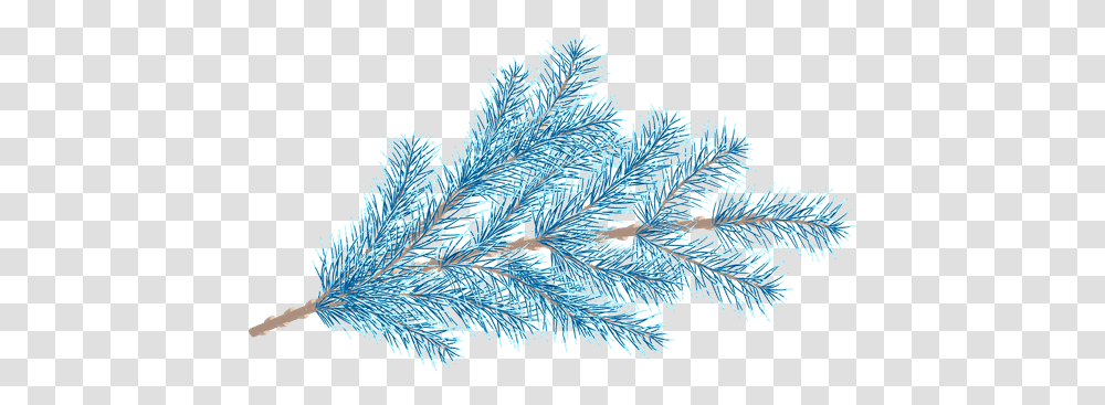 Fir Tree Branches With A Star Photos By Canva Shortstraw Pine, Plant, Ice, Outdoors, Nature Transparent Png