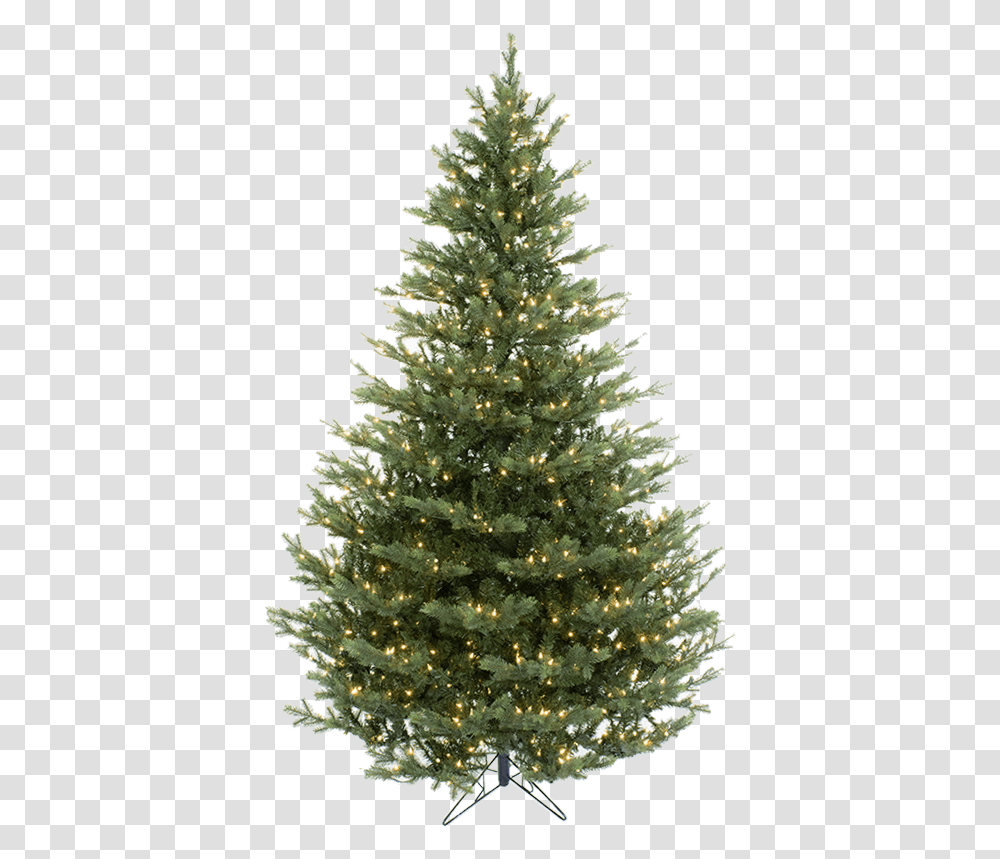 Fir Tree, Christmas Tree, Ornament, Plant, Pine Transparent Png