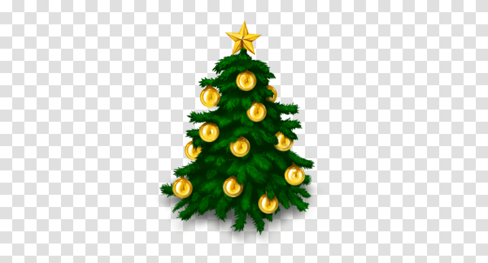 Fir Tree, Christmas Tree, Ornament, Plant, Star Symbol Transparent Png