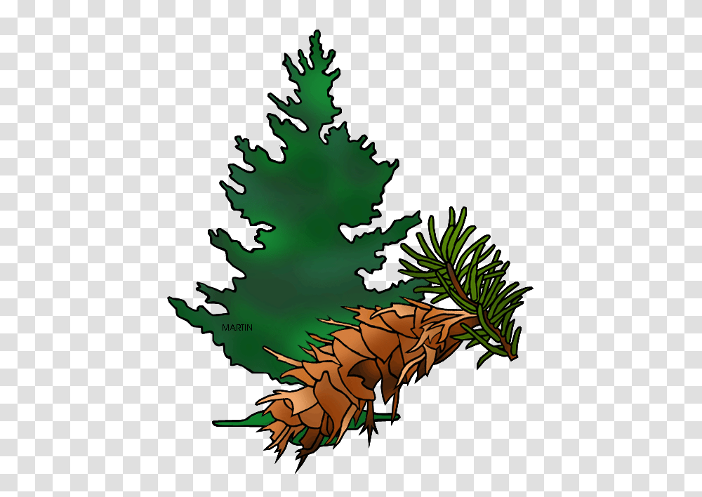 Fir Tree Clipart, Leaf, Plant, Green, Vegetation Transparent Png