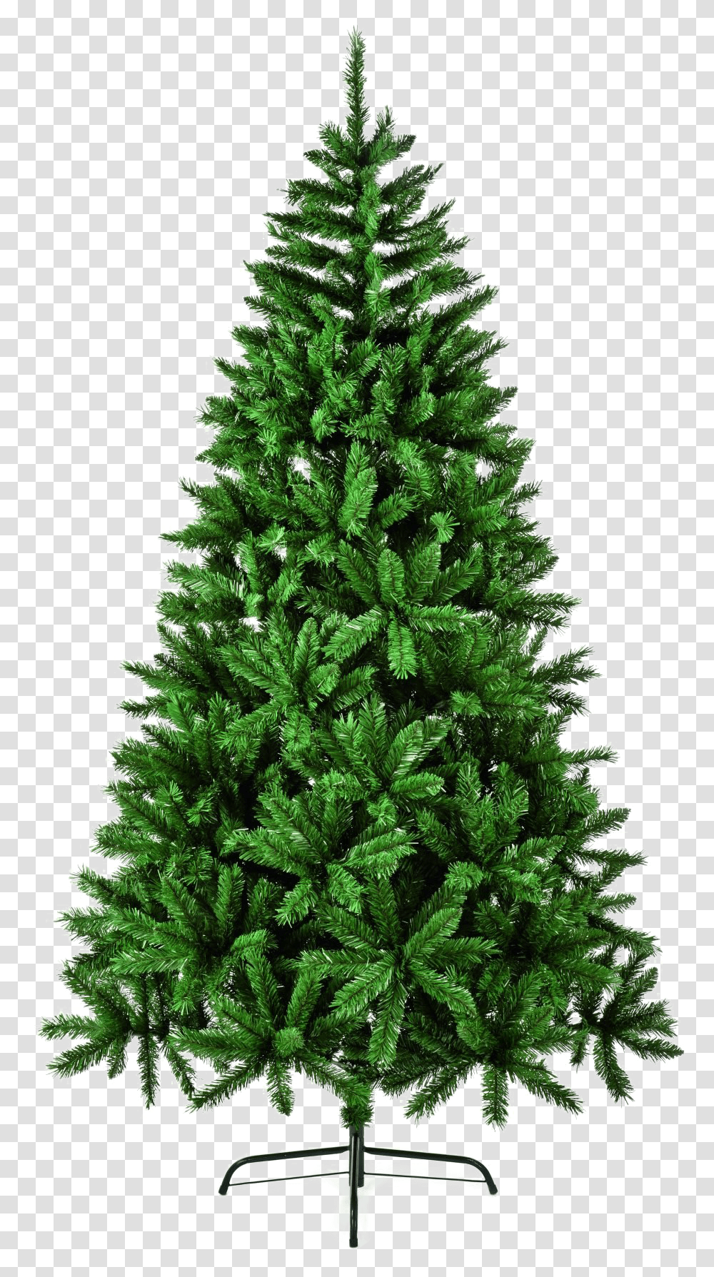 Fir Tree Download Image Arts Nordic Fir Tree, Christmas Tree, Ornament, Plant, Pine Transparent Png