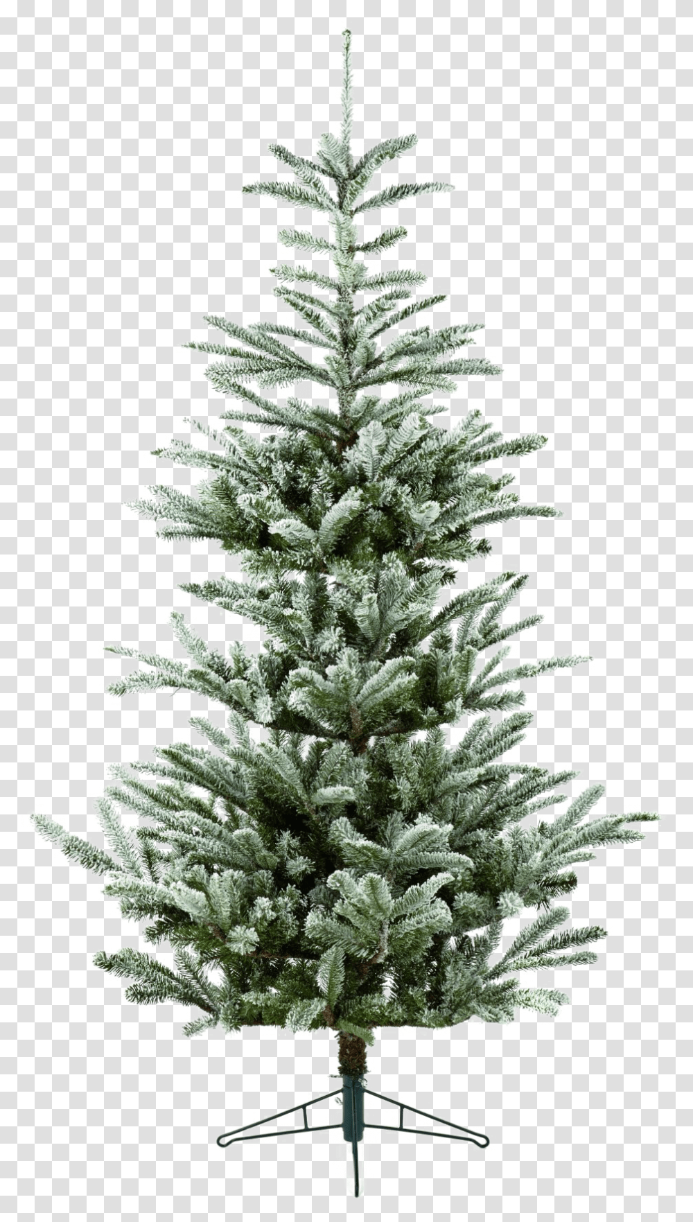 Fir Tree Download Image Christmas Tree, Plant, Ornament, Pine, Abies Transparent Png