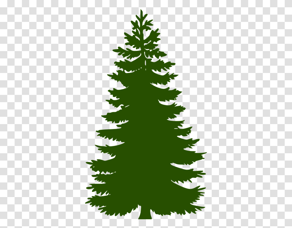 Fir Tree Huge Evergreen Green Pine Tree Clipart, Plant, Abies, Ornament, Conifer Transparent Png