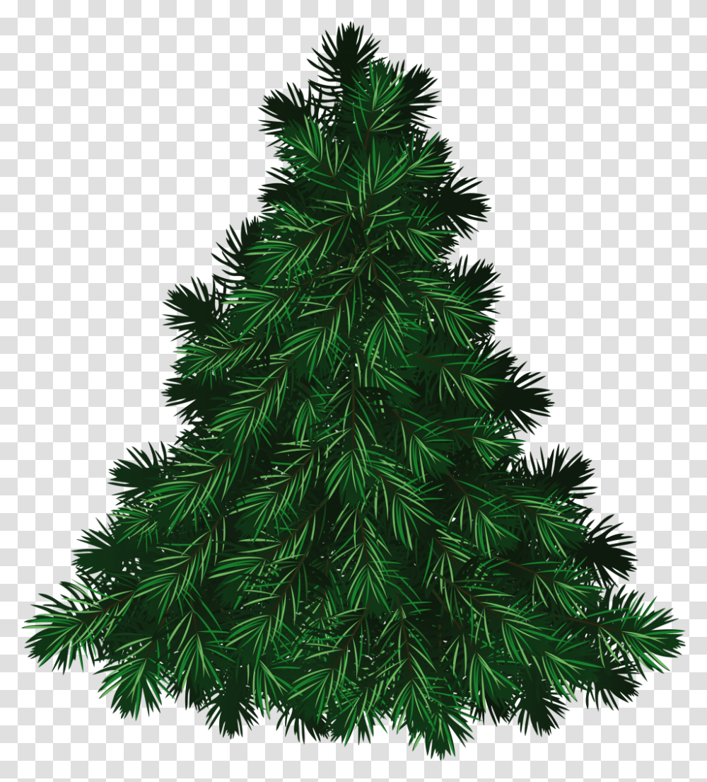 Fir Tree Image Christmas Fir Tree, Plant, Christmas Tree, Ornament, Pine Transparent Png