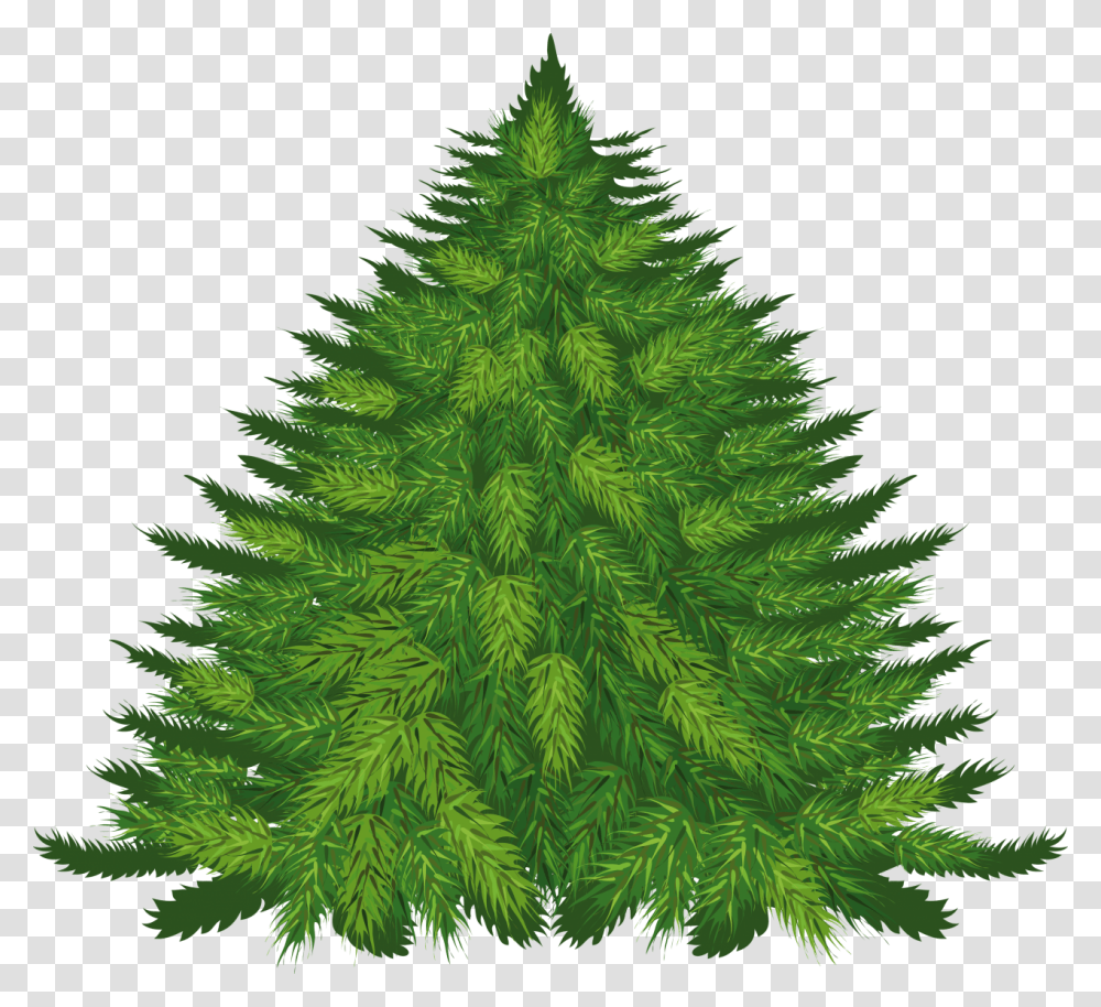 Fir Tree Image Christmas Tree Cartoon, Ornament, Plant, Pine Transparent Png