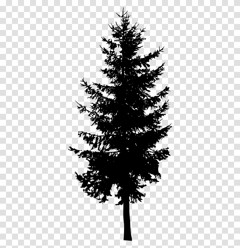 Fir Tree Image With Background Silhouette Pine Tree, Christmas Tree, Ornament, Plant, Abies Transparent Png