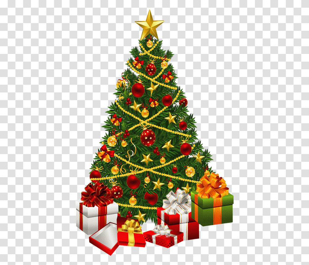 Fir Tree, Nature, Christmas Tree, Ornament, Plant Transparent Png