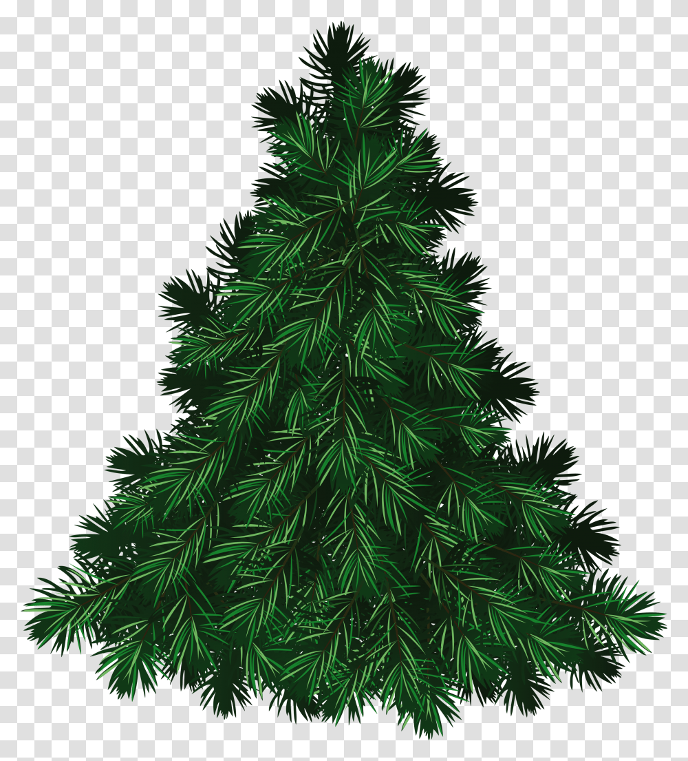 Fir Tree, Nature, Christmas Tree, Ornament, Plant Transparent Png