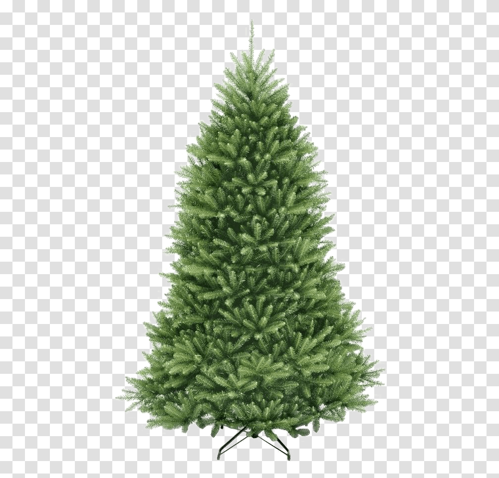 Fir Tree Pic Christmas Tree, Ornament, Plant, Pine, Conifer Transparent Png