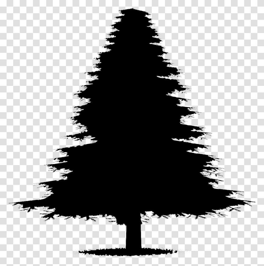 Fir Tree Silhouette Animated Silhouette Christmas Trees, Gray, World Of Warcraft Transparent Png