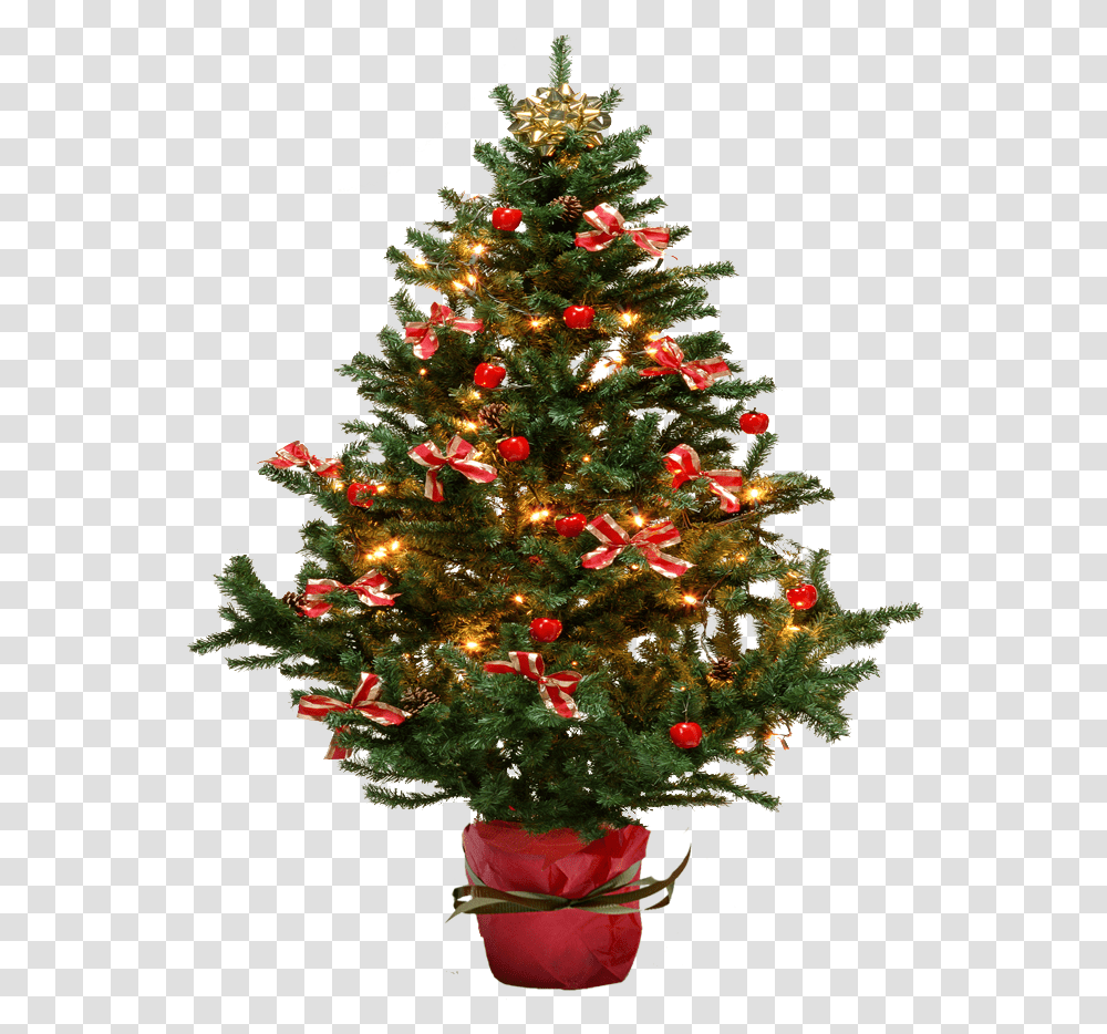 Fir Tree Small Christmas Tree Background, Ornament, Plant Transparent Png