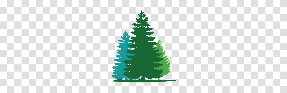 Fir Tree Wall Decals In Campout Nursery Tree, Plant, Abies Transparent Png