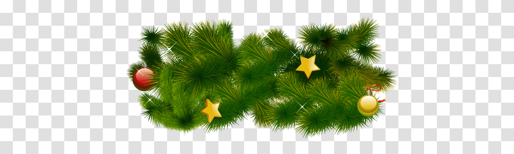 Fir Tree Web Icons, Star Symbol, Plant, Sea Life, Animal Transparent Png