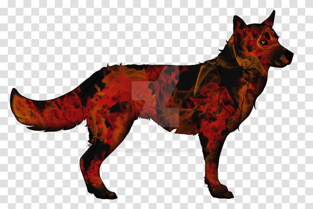 Fire And Smoke Wolf Adoptable Please Offer Hunting Dog, Mammal, Animal, Wildlife, Coyote Transparent Png