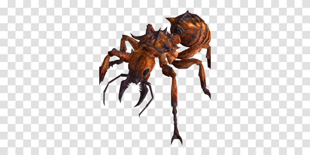 Fire Ant Fallout New Vegas Fire Ant, Seafood, Animal, Sea Life, Crab Transparent Png