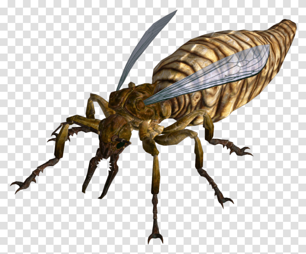 Fire Ant Queen Fallout Supplement D&d Wiki Fallout New Vegas Ant, Wasp, Bee, Insect, Invertebrate Transparent Png