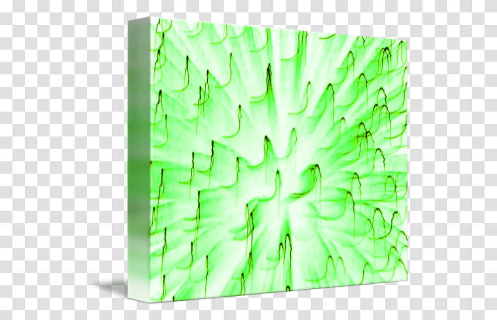 Fire Art Blast Lime Green By Sr Smith Graphic Design, Tabletop, Furniture, Pattern, Ornament Transparent Png