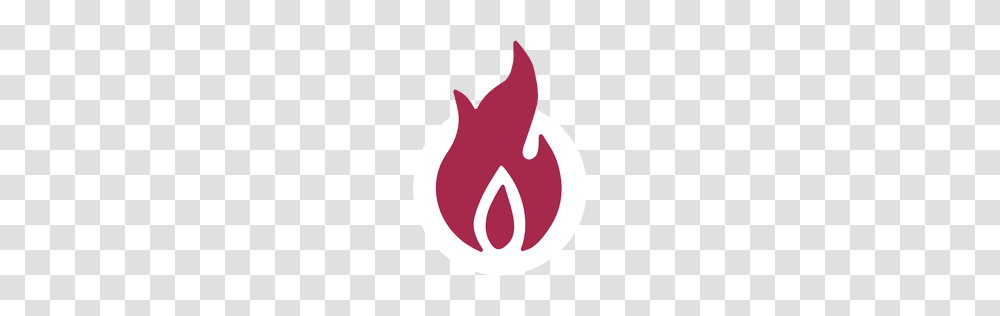 Fire Cartoon Flame Illustration, Logo, Trademark, Plant Transparent Png