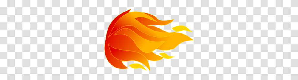 Fire Clip Art, Plant, Flower, Leaf, Petal Transparent Png